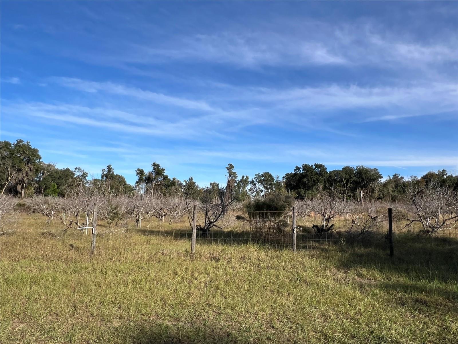 Image 13 of 41 For 18250 Ravenswood Road