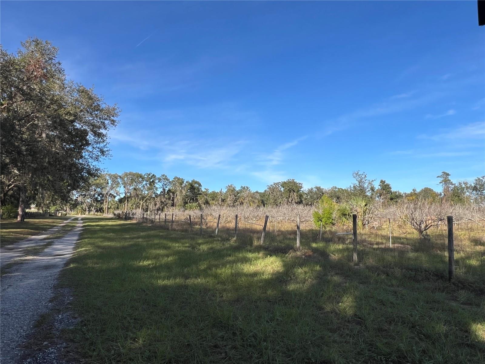 Image 17 of 41 For 18250 Ravenswood Road