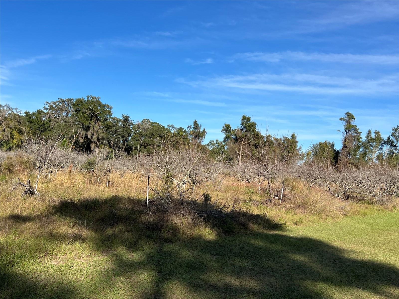 Image 18 of 41 For 18250 Ravenswood Road