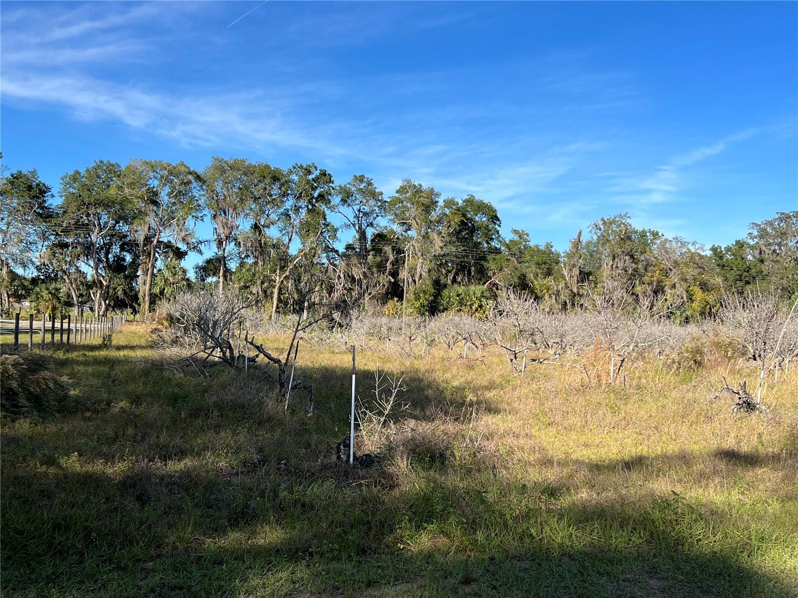 Image 19 of 41 For 18250 Ravenswood Road