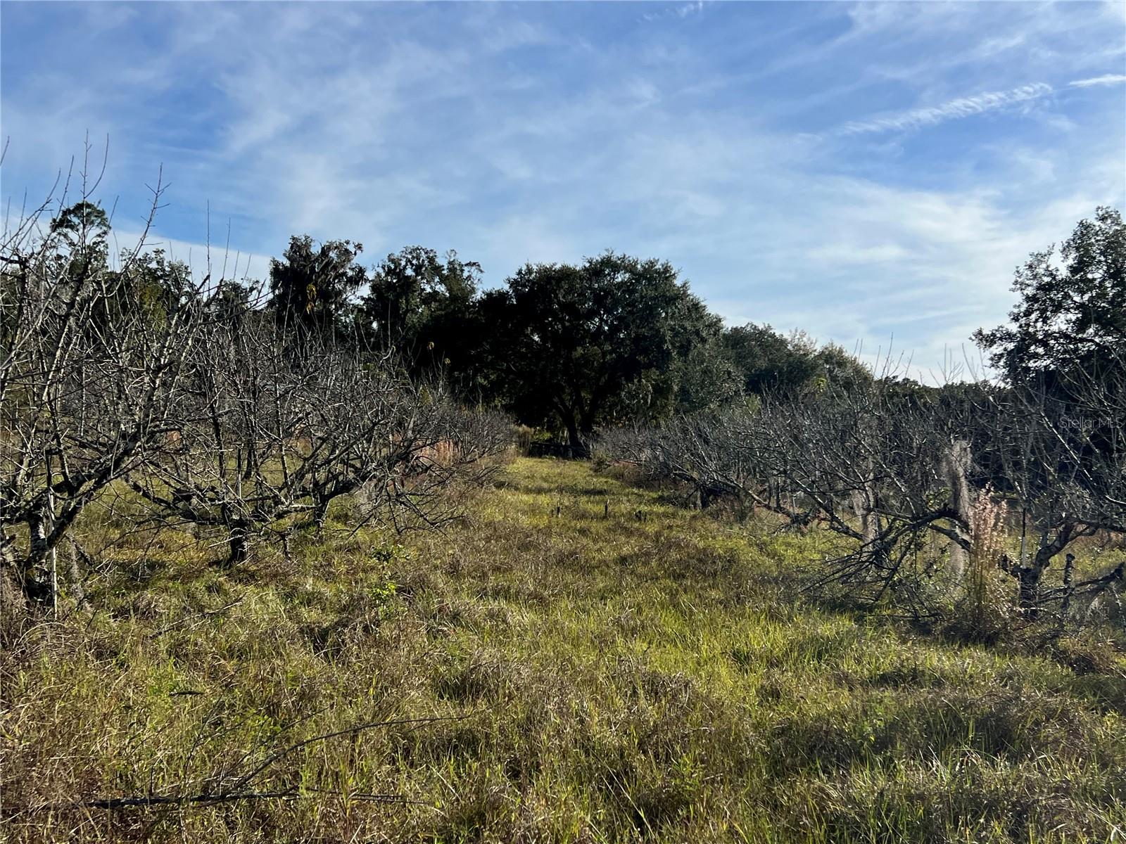 Image 21 of 41 For 18250 Ravenswood Road