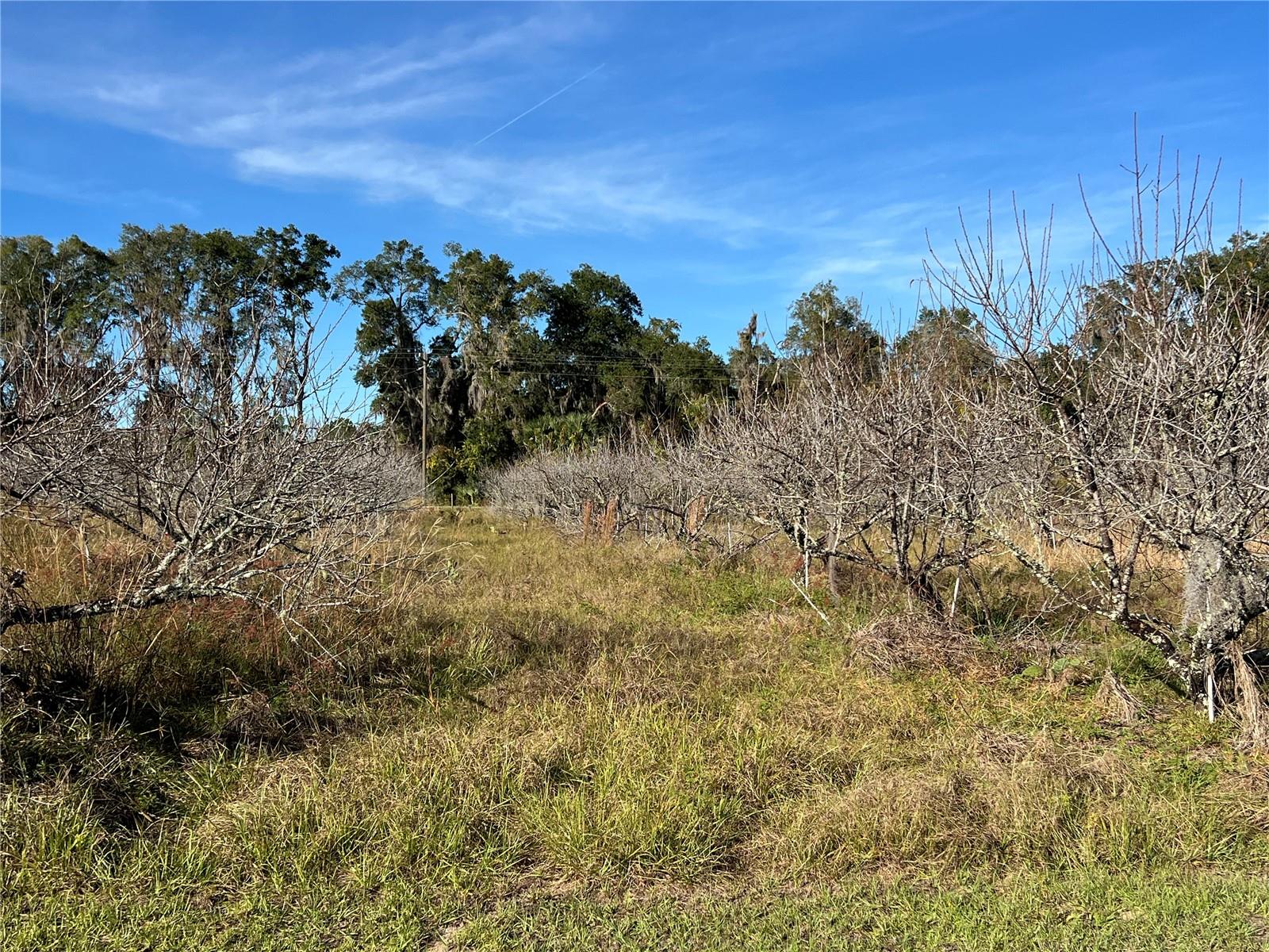 Image 22 of 41 For 18250 Ravenswood Road