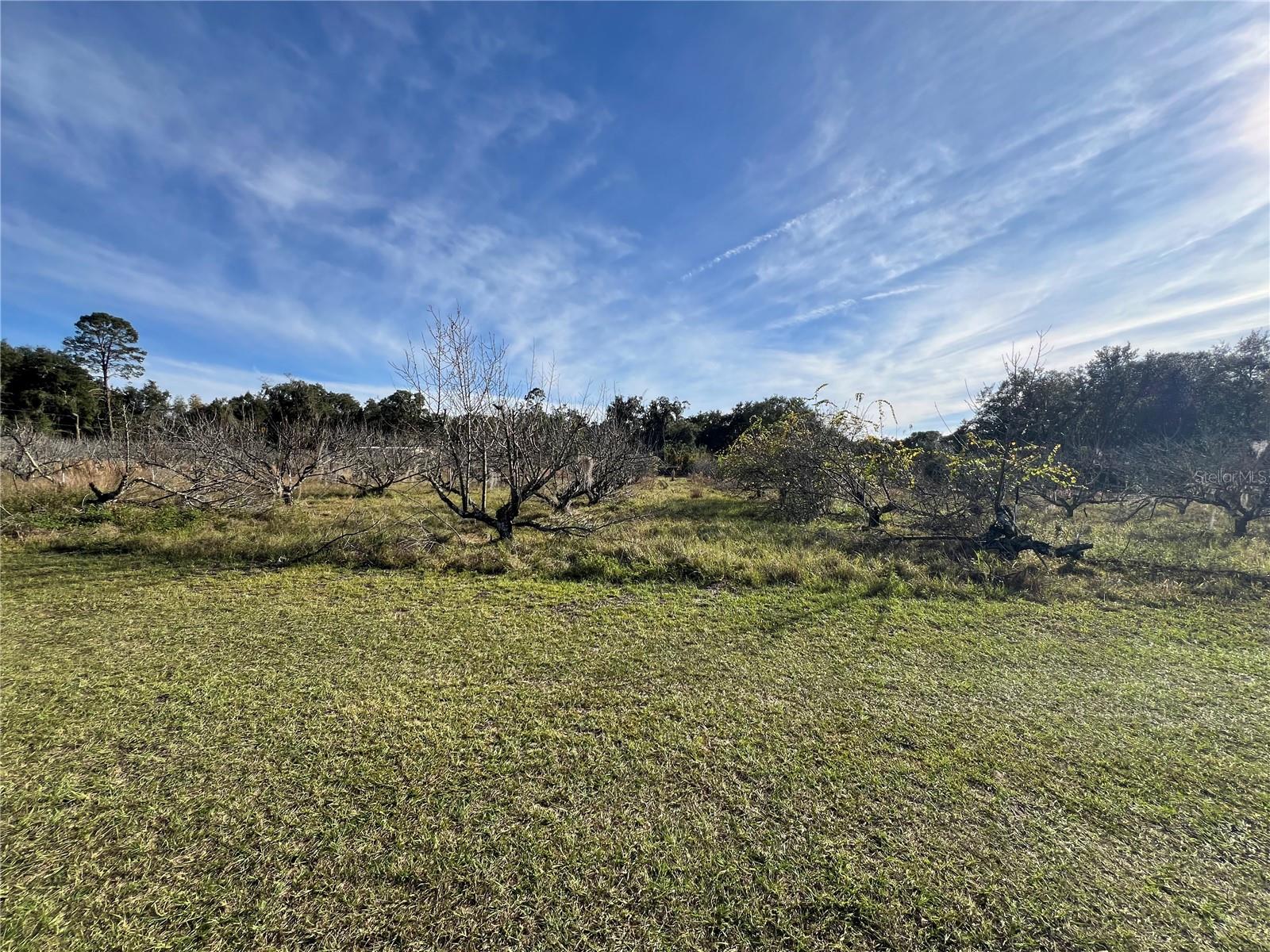 Image 25 of 41 For 18250 Ravenswood Road