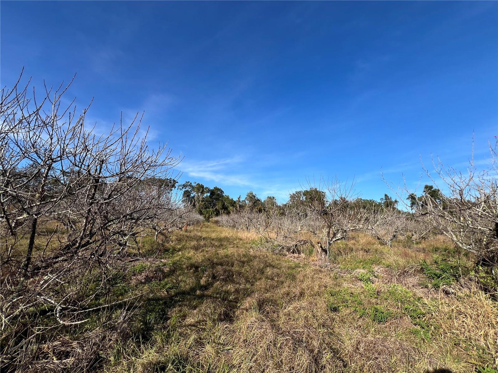 Image 26 of 41 For 18250 Ravenswood Road