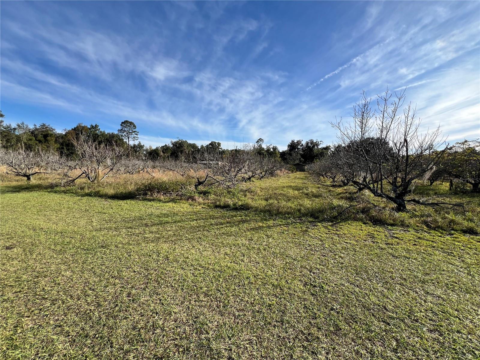 Image 27 of 41 For 18250 Ravenswood Road