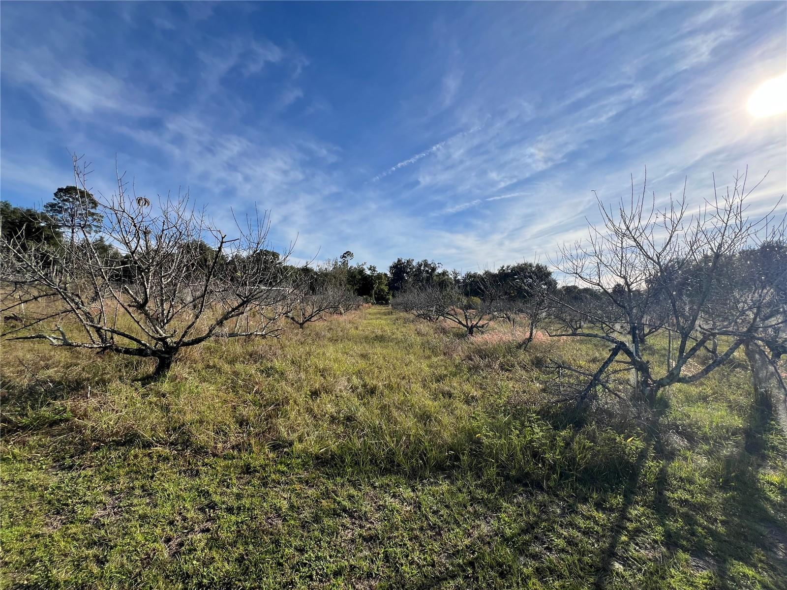 Image 28 of 41 For 18250 Ravenswood Road