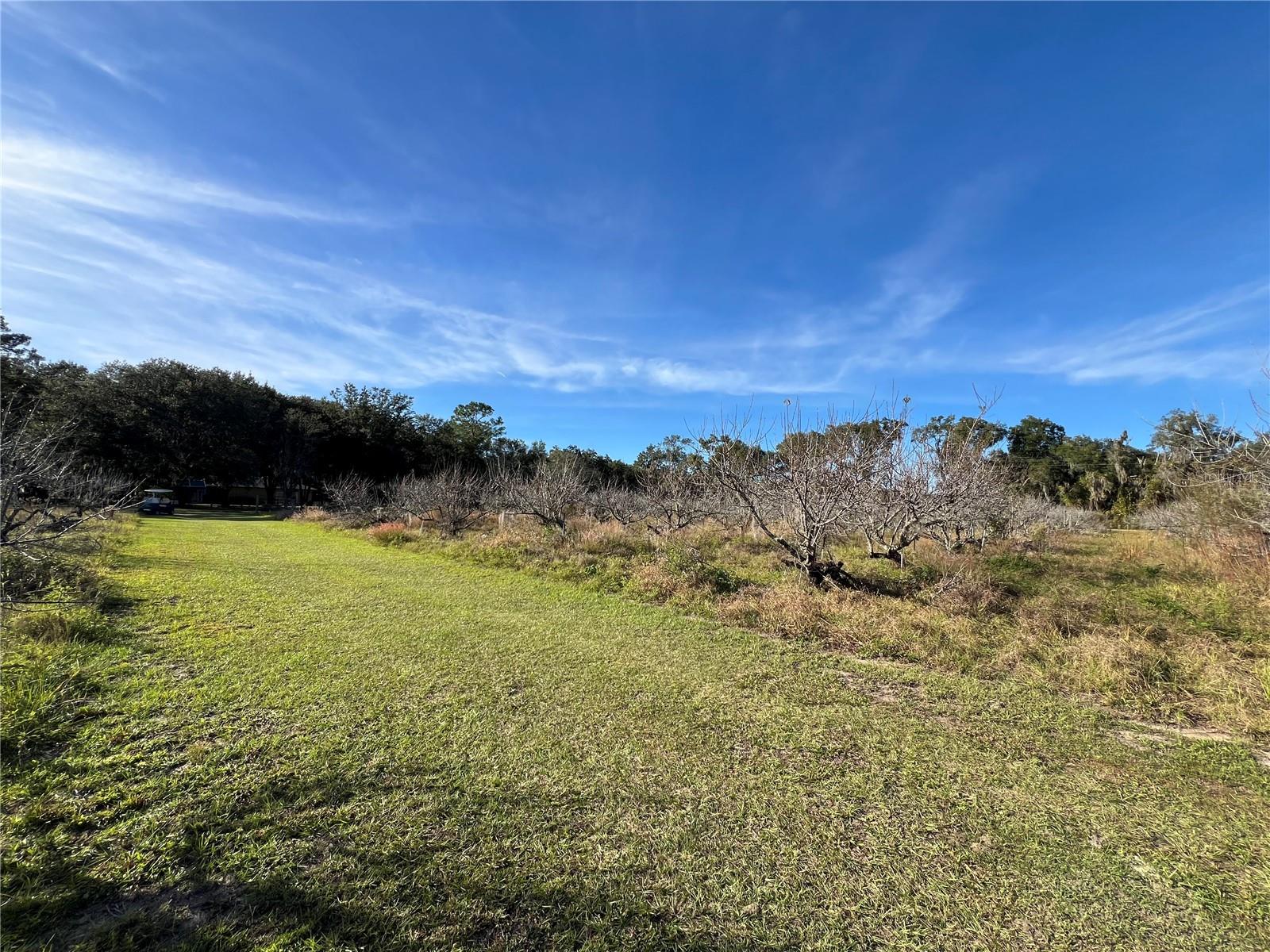 Image 29 of 41 For 18250 Ravenswood Road