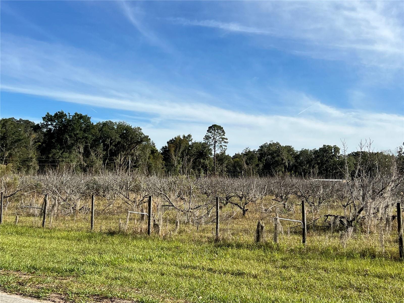 Image 3 of 41 For 18250 Ravenswood Road