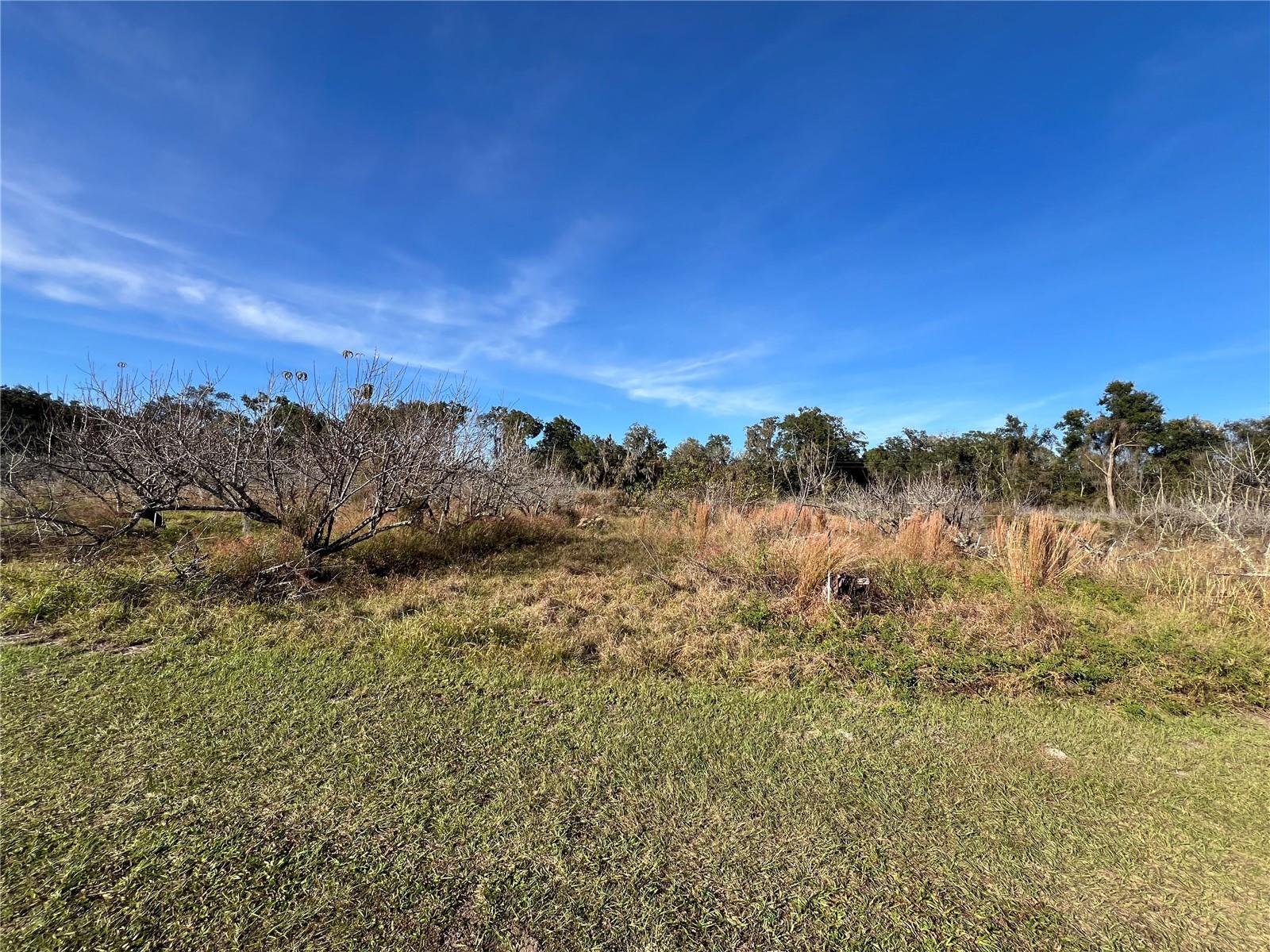 Image 30 of 41 For 18250 Ravenswood Road