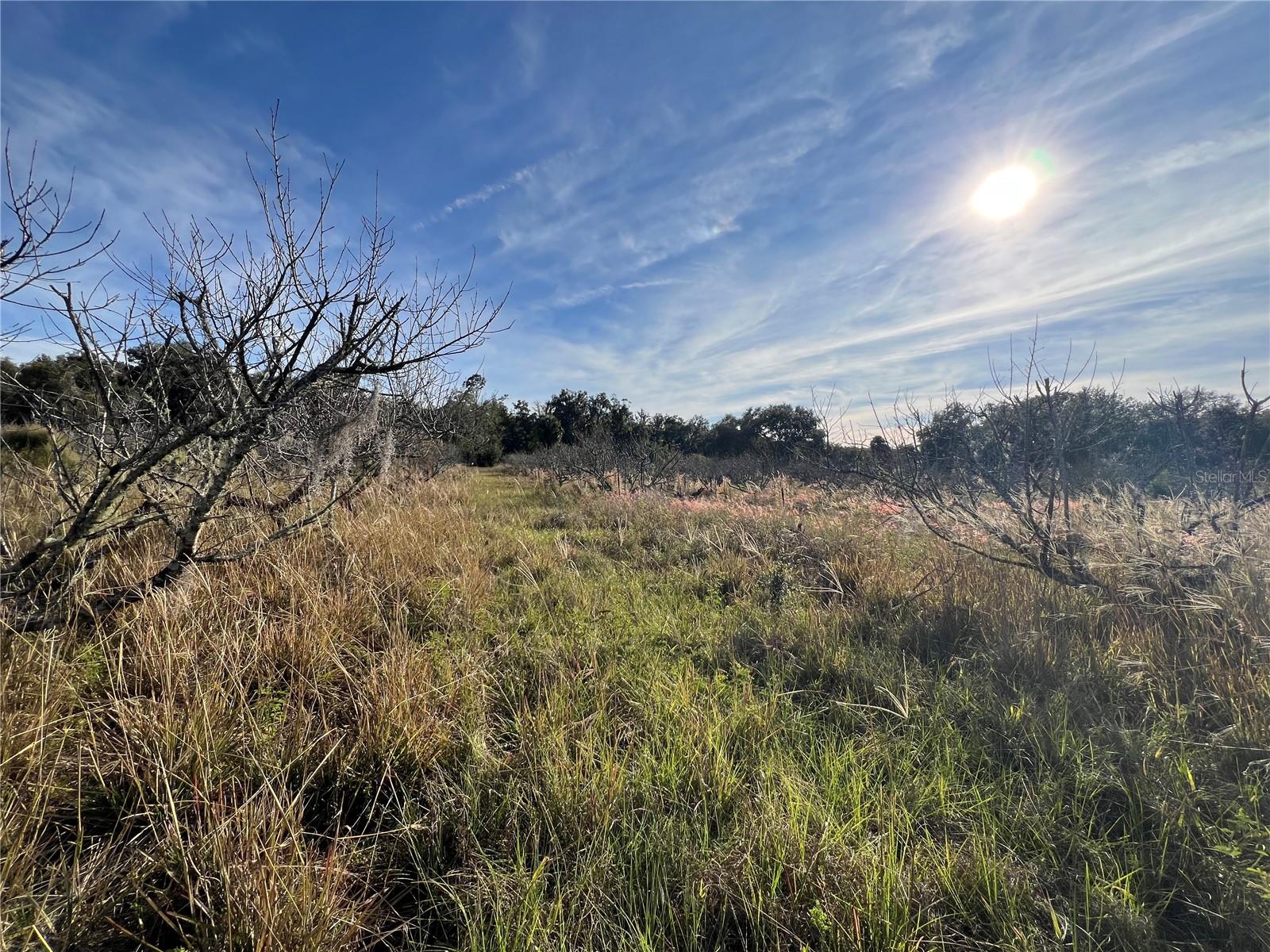 Image 31 of 41 For 18250 Ravenswood Road