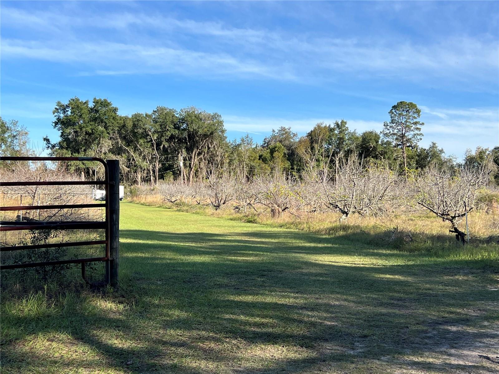 Image 32 of 41 For 18250 Ravenswood Road