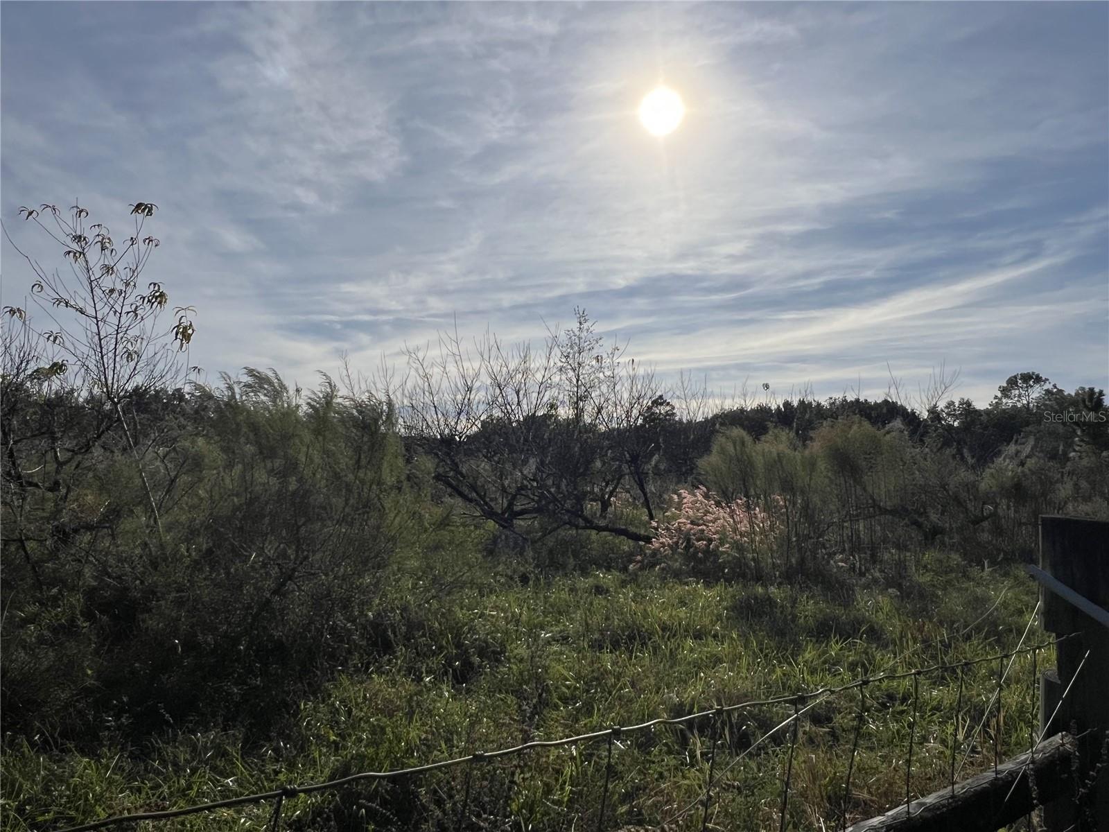 Image 9 of 41 For 18250 Ravenswood Road