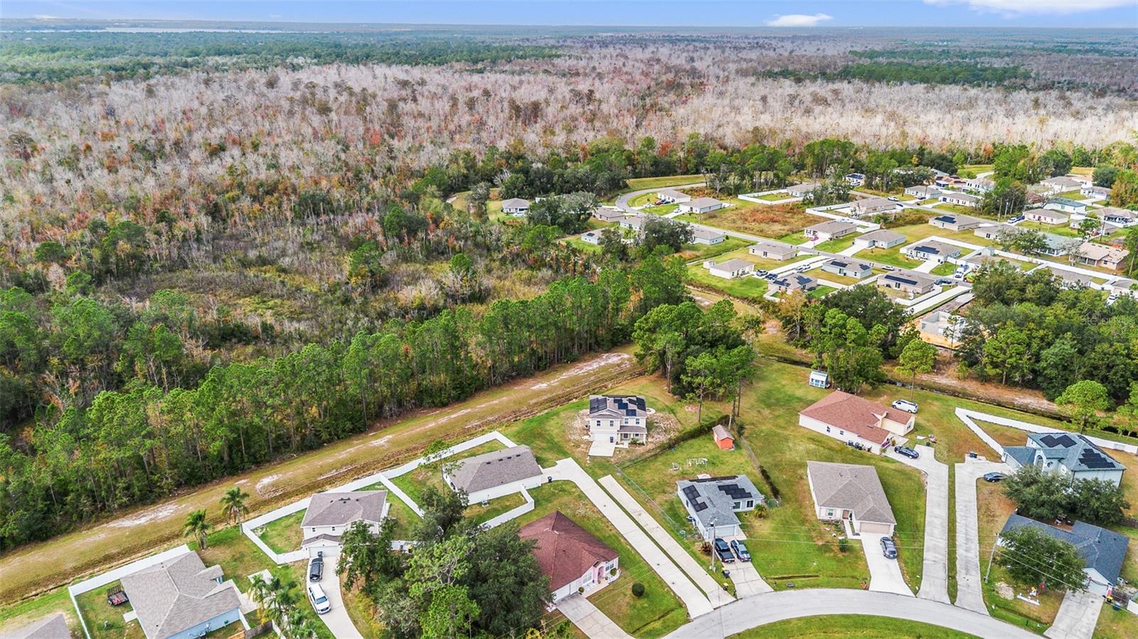 Image 4 of 38 For 1463 Swan Court