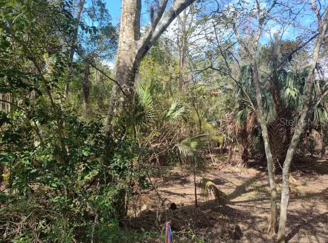 Image 3 of 4 For 5979 Wingate