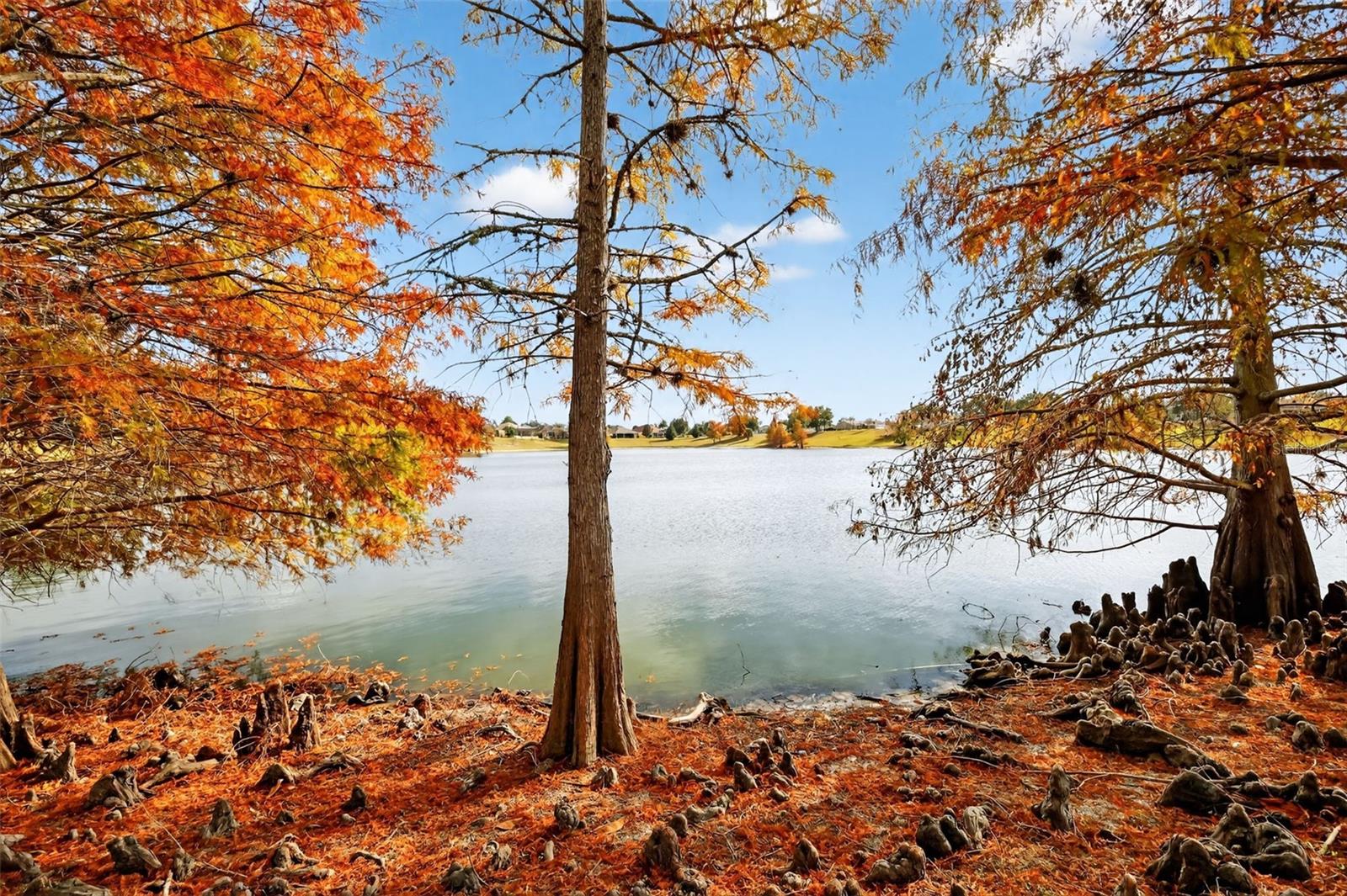 Image 37 of 47 For 2403 St George Avenue