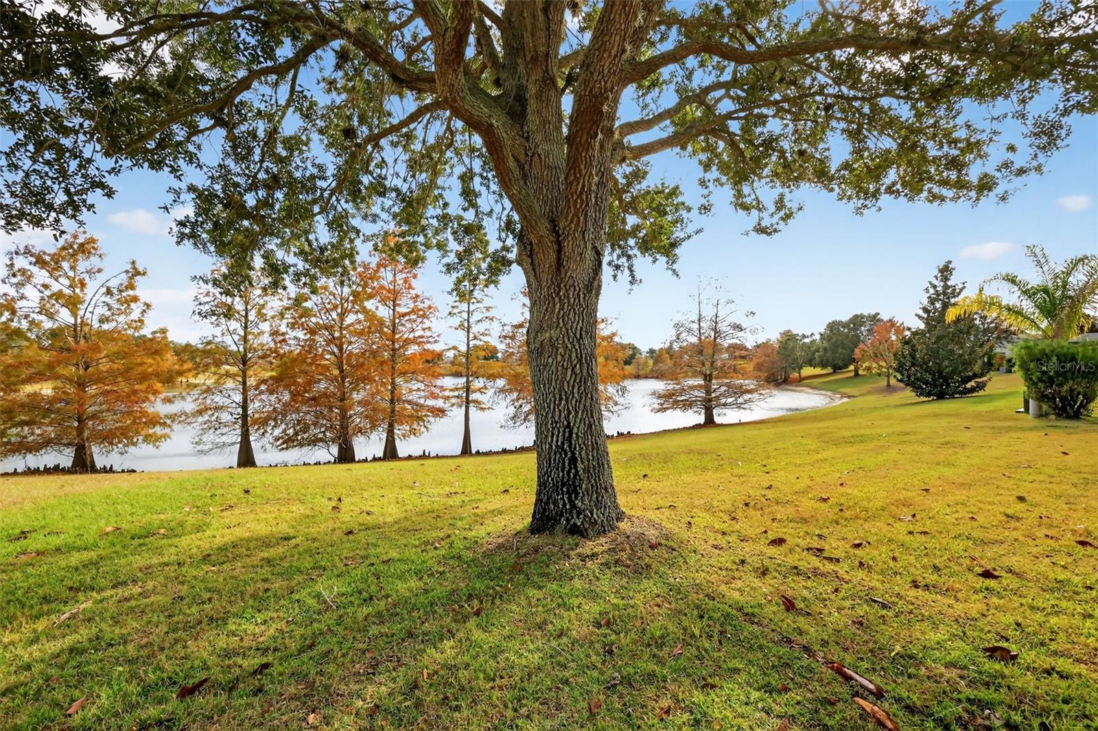 Image 39 of 47 For 2403 St George Avenue