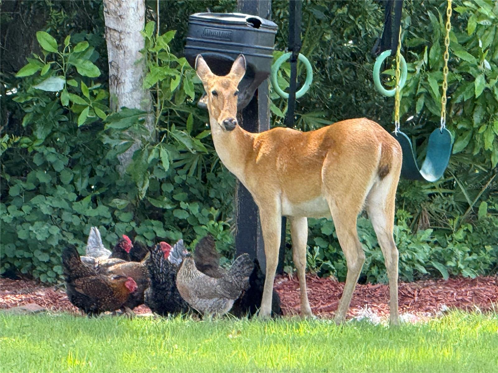 Image 6 of 43 For 10909 Mattioda Road