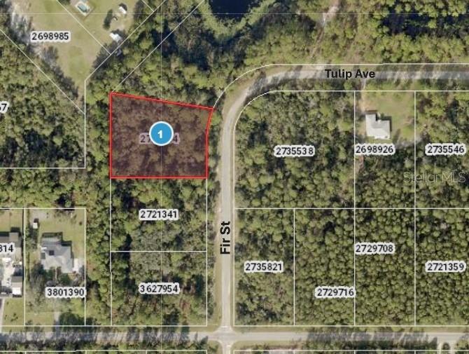 Listing Details for  Fir Street , EUSTIS, FL 32736