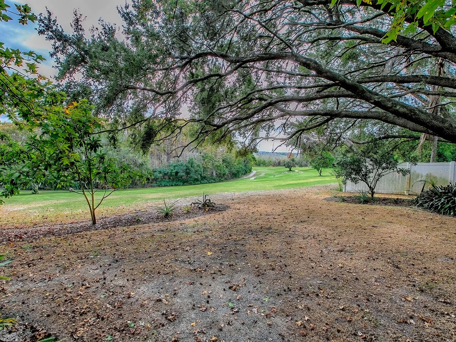 Image 25 of 45 For 12534 Wedgefield Drive