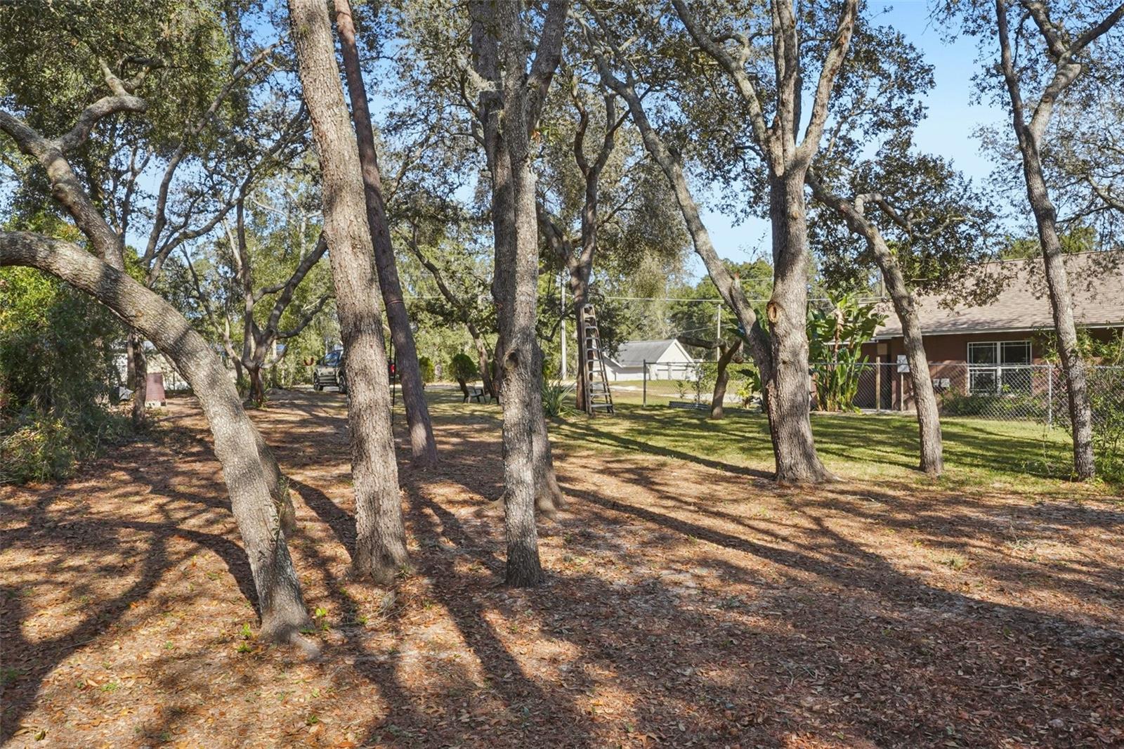 Image 44 of 57 For 4542 Lemon Street