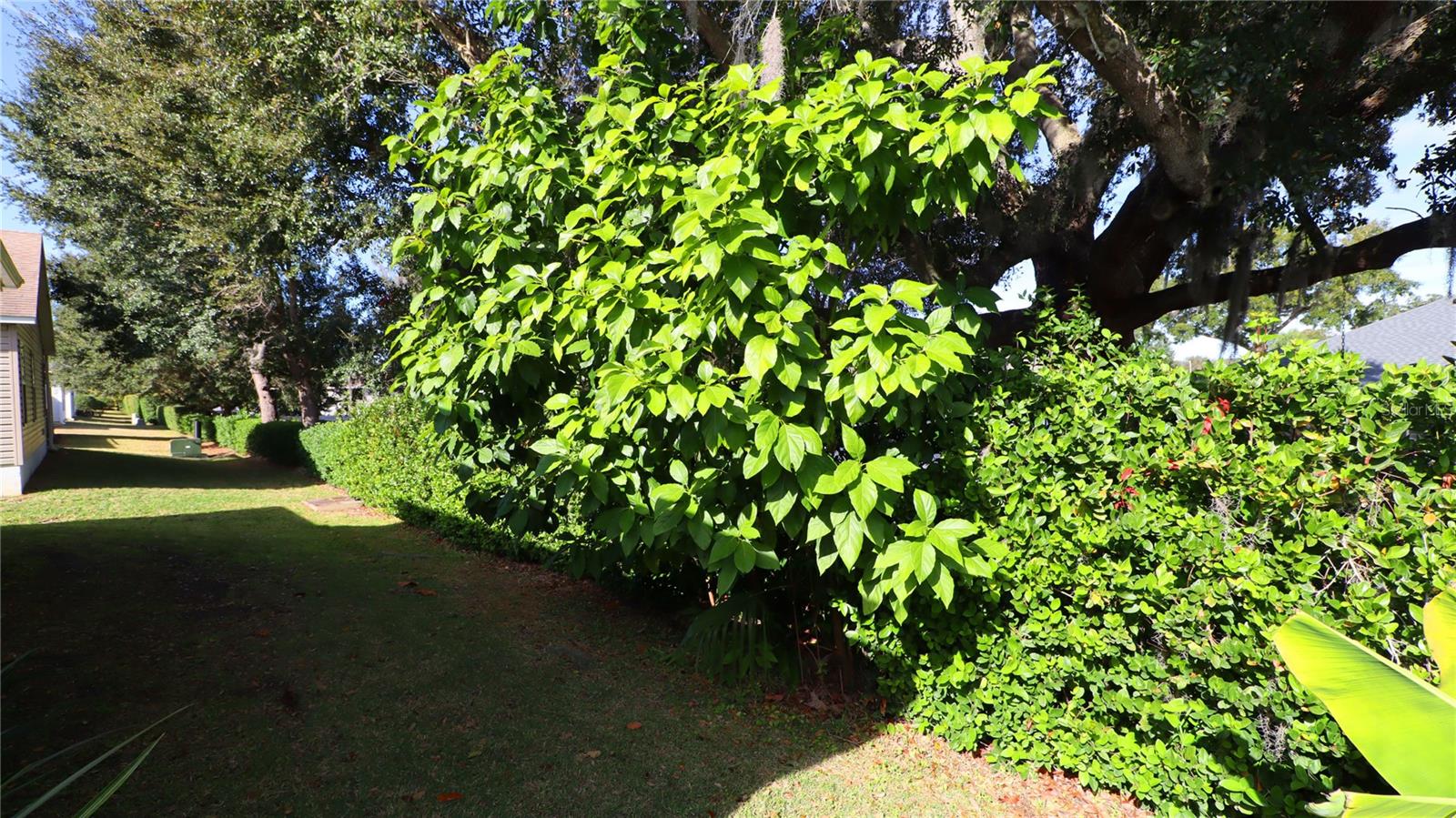 Image 32 of 33 For 2473 Buttonwood Run