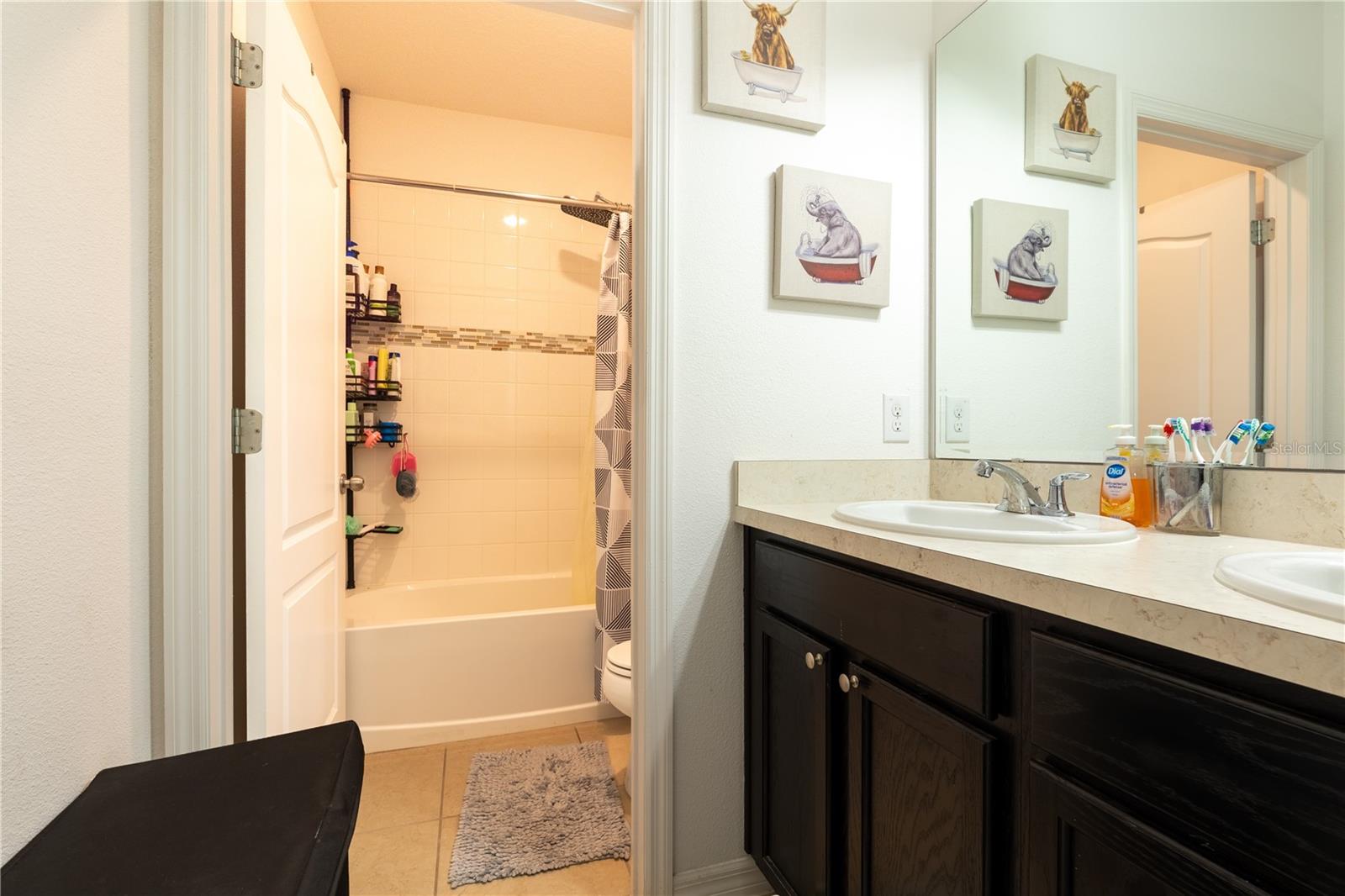 Image 17 of 21 For 9693 Early Loop