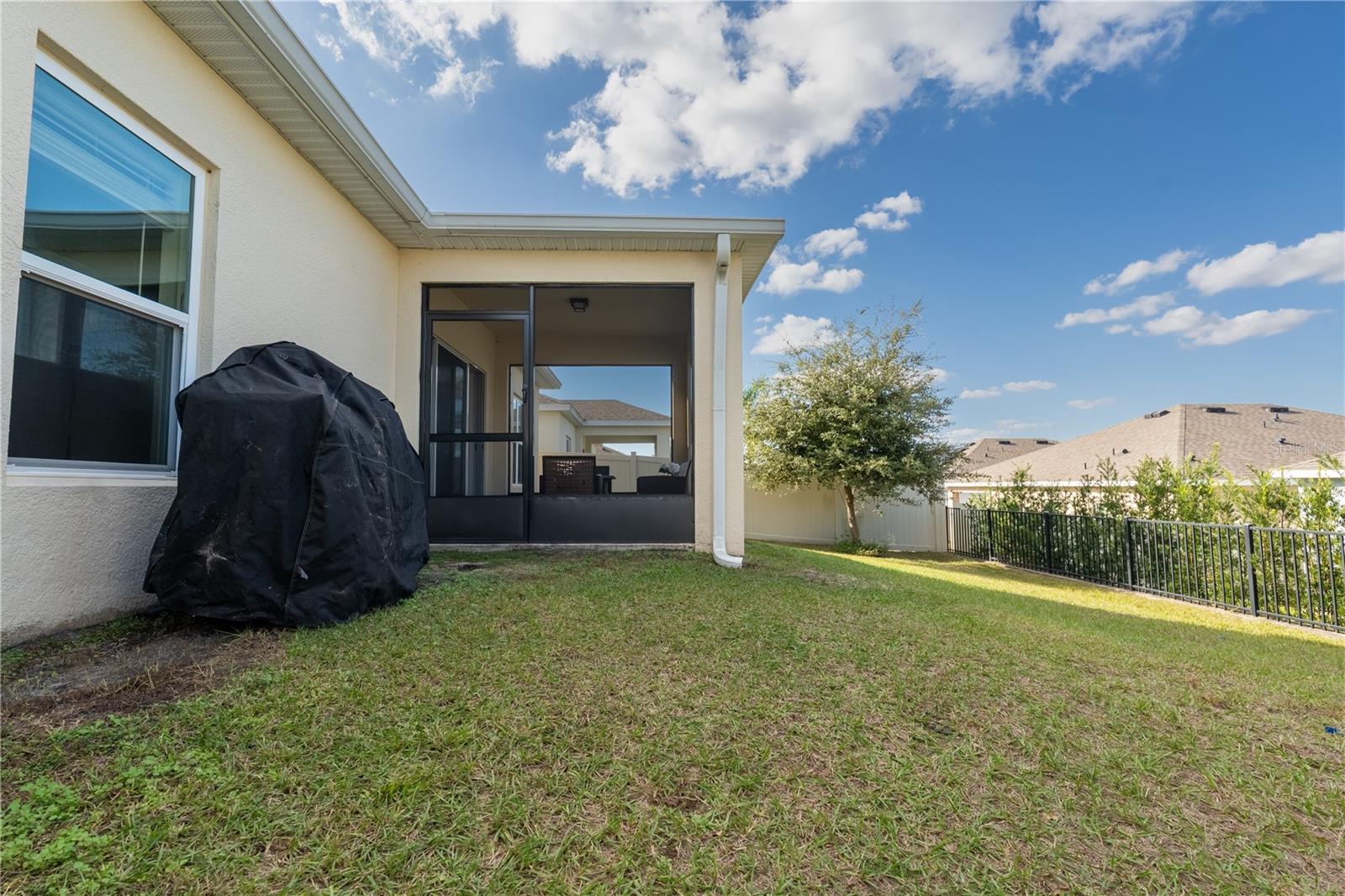 Image 20 of 21 For 9693 Early Loop