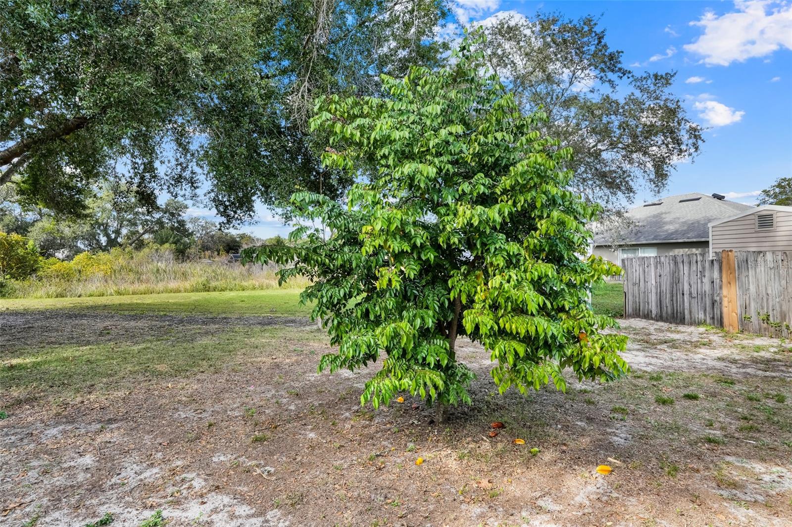 Image 26 of 38 For 345 Hidden View Drive