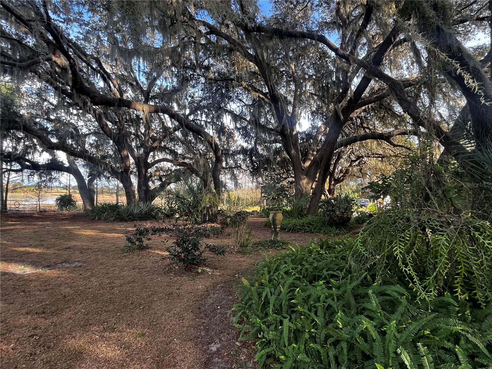 Image 13 of 17 For 3230 Empire Church Road