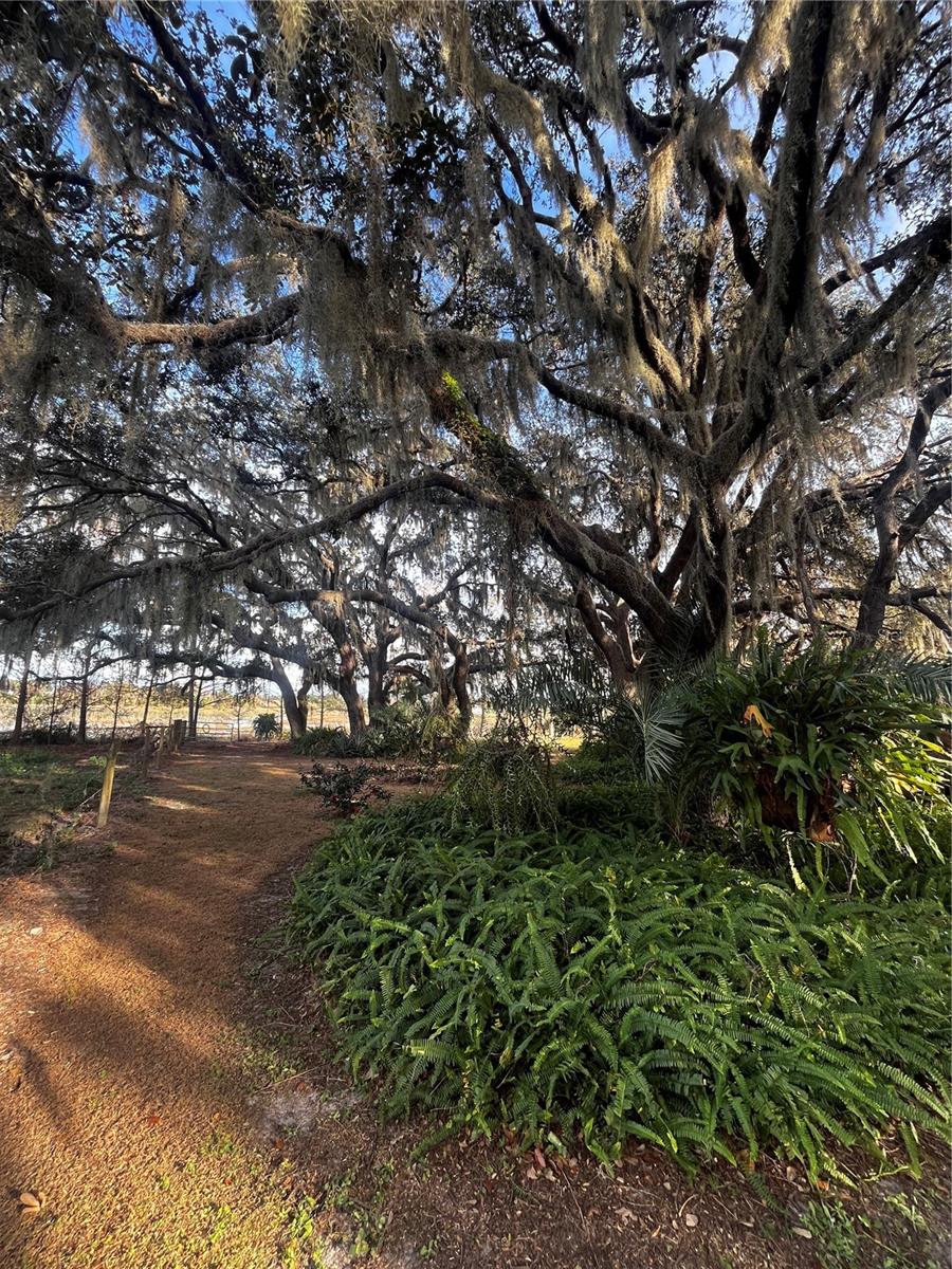 Image 14 of 17 For 3230 Empire Church Road