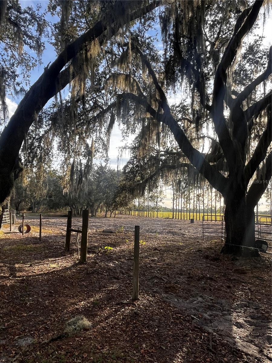 Image 8 of 17 For 3230 Empire Church Road