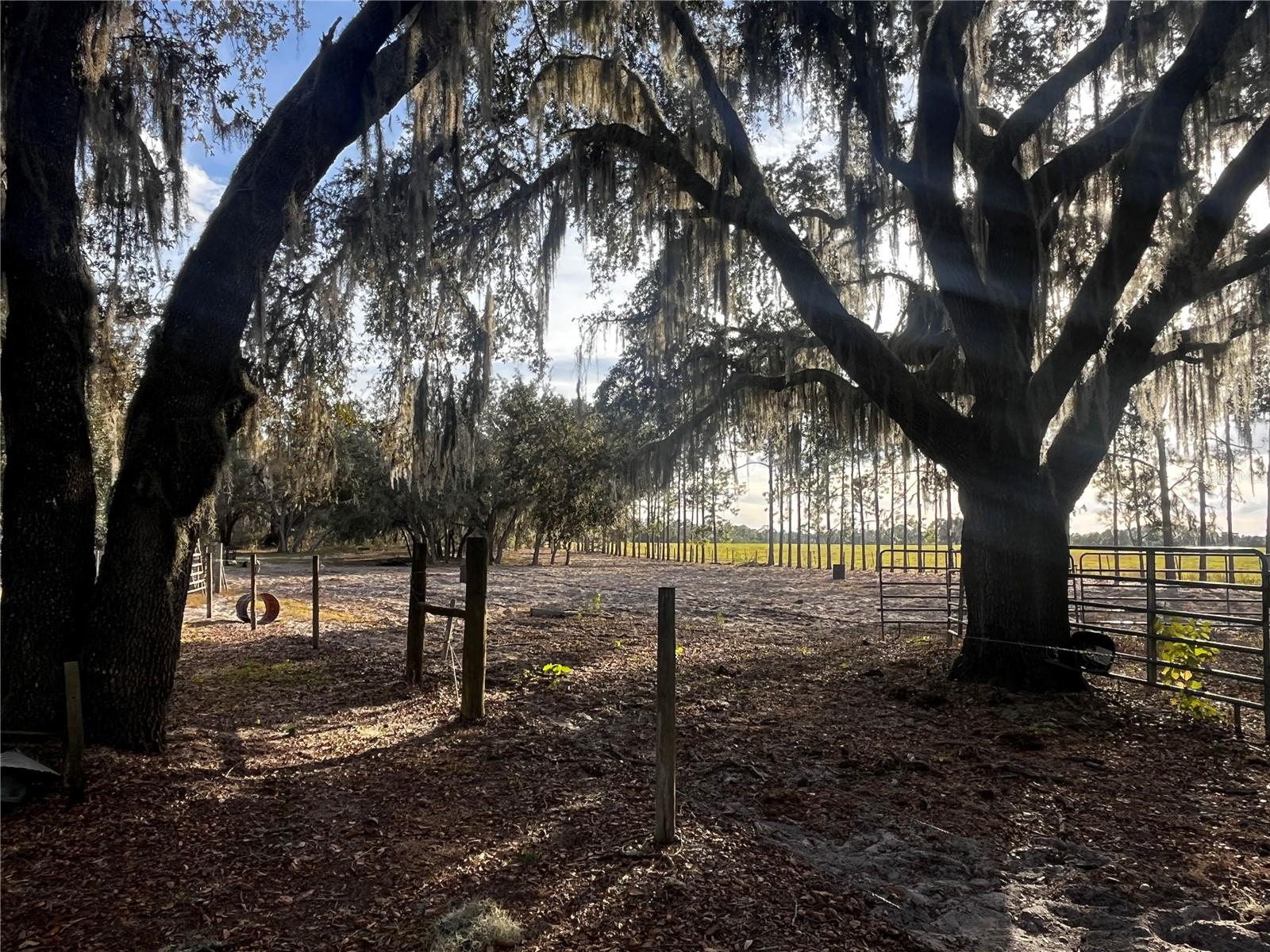 Image 9 of 17 For 3230 Empire Church Road