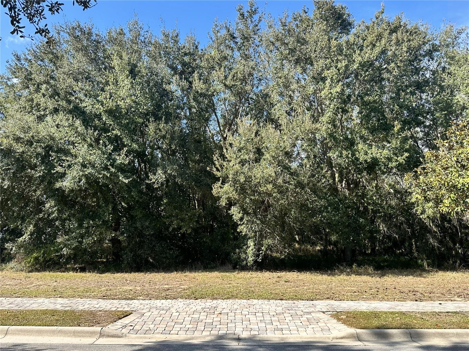 Image 2 of 9 For 15706 Pendio Drive