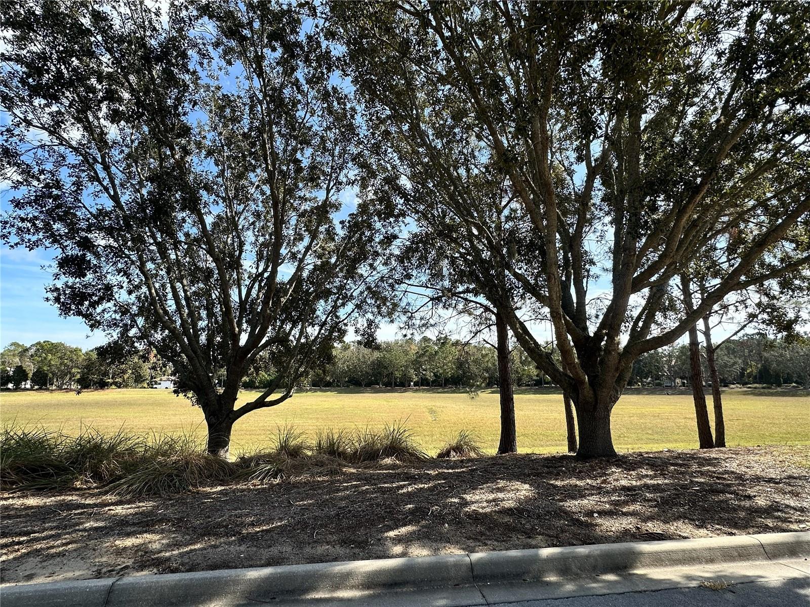 Image 3 of 9 For 15706 Pendio Drive