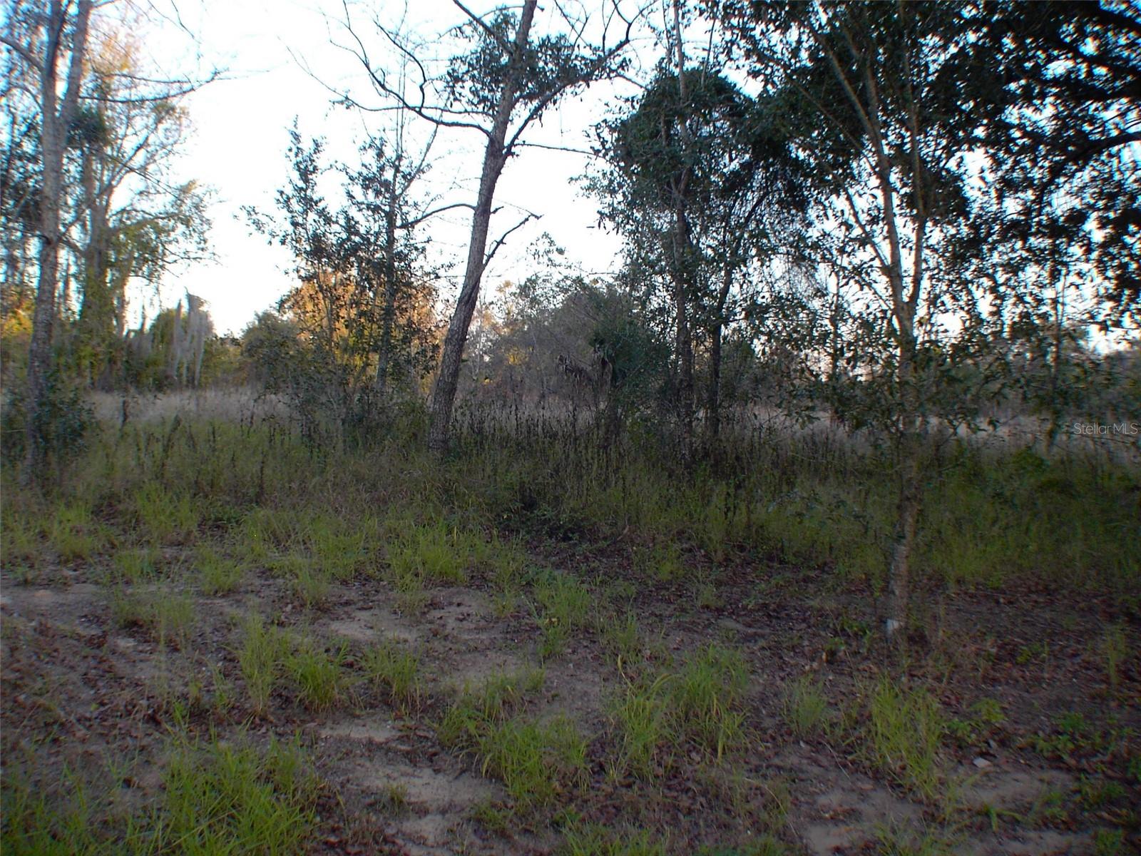 Image 2 of 2 For Address Not Provided