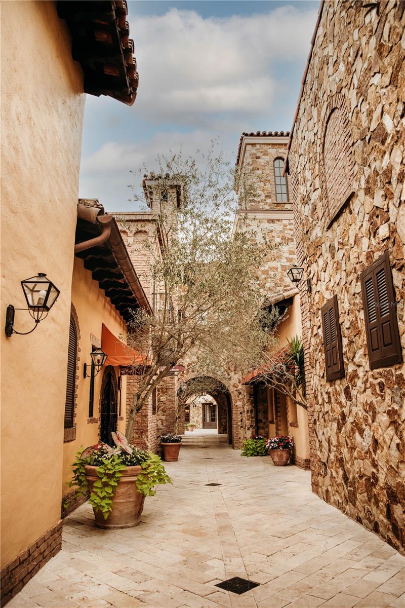 Image 7 of 11 For 15825 Vetta Drive