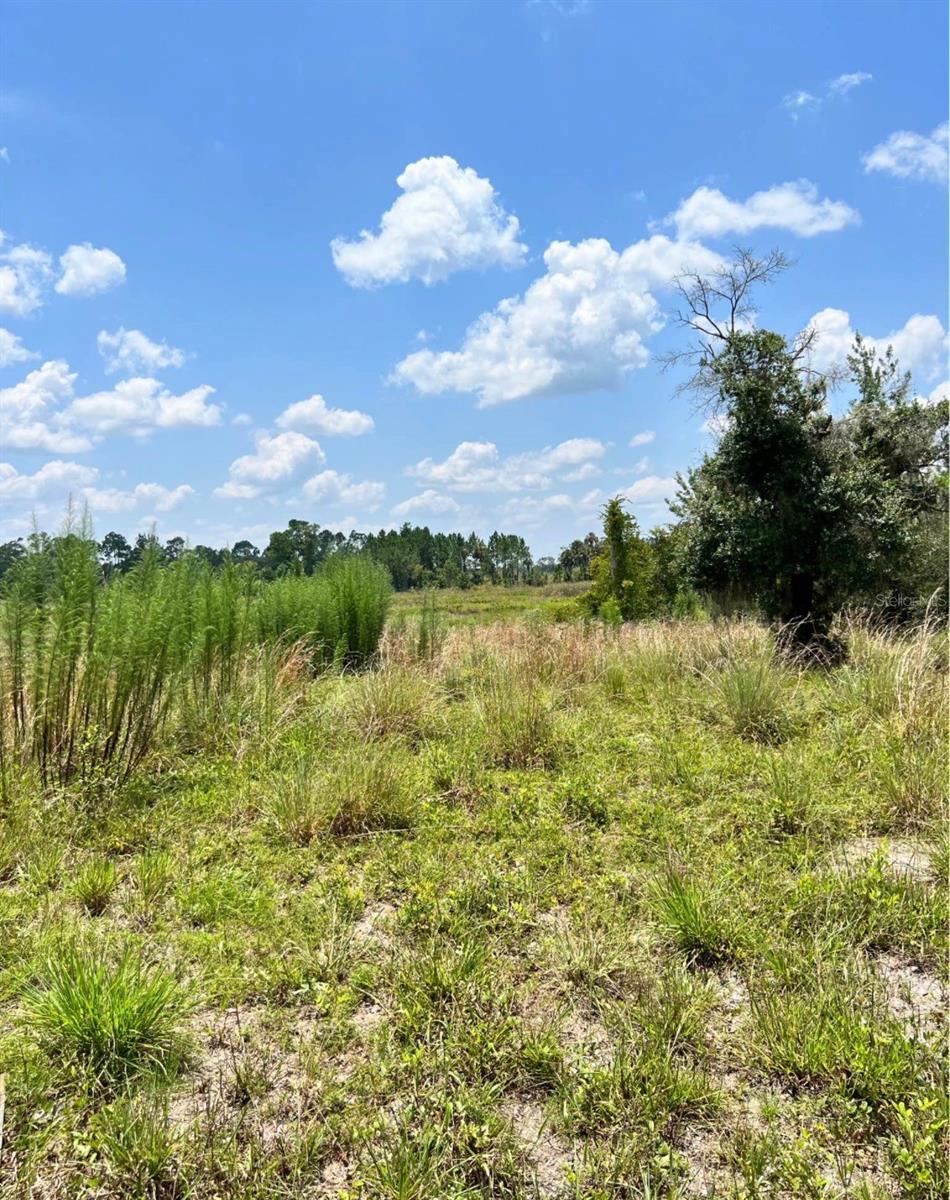 Details for Steward Road, EUSTIS, FL 32726