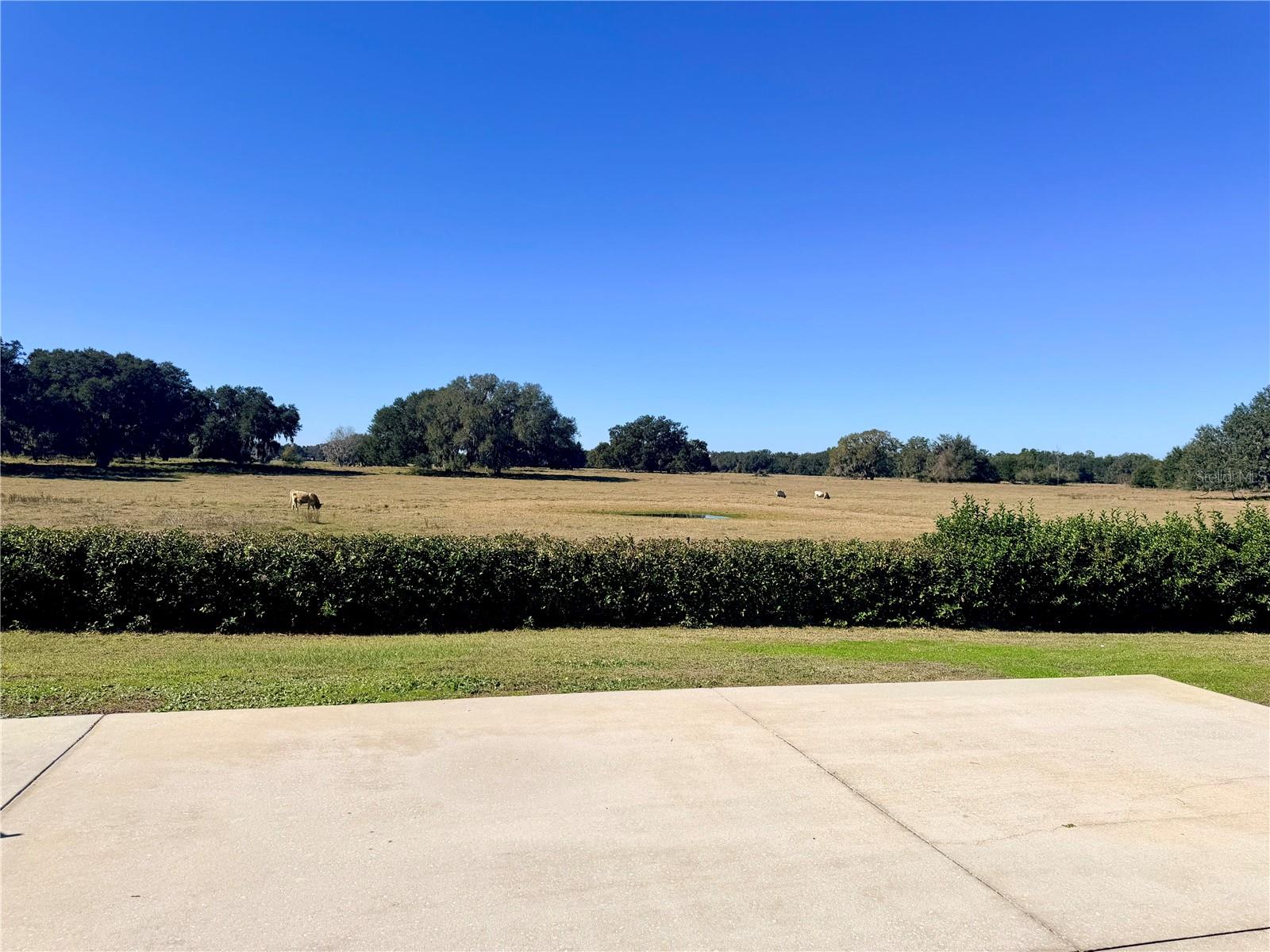 Image 6 of 33 For 4697 94th Avenue