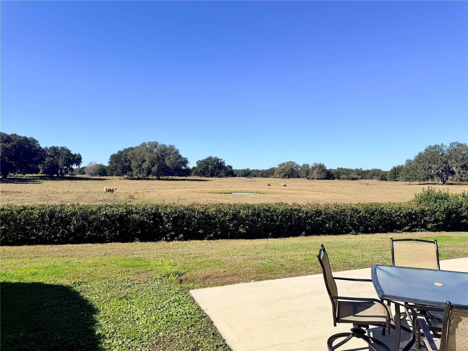 Image 8 of 33 For 4697 94th Avenue