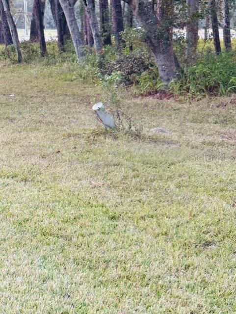 Image 4 of 10 For 17481 Celia Avenue