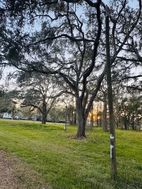 Image 8 of 10 For 17481 Celia Avenue