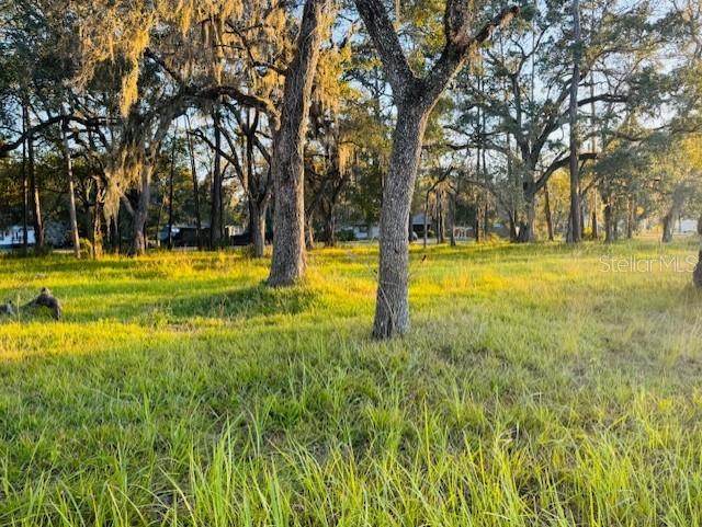 Image 11 of 47 For 17476 Nicholas Avenue