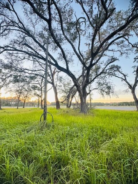 Image 33 of 47 For 17476 Nicholas Avenue