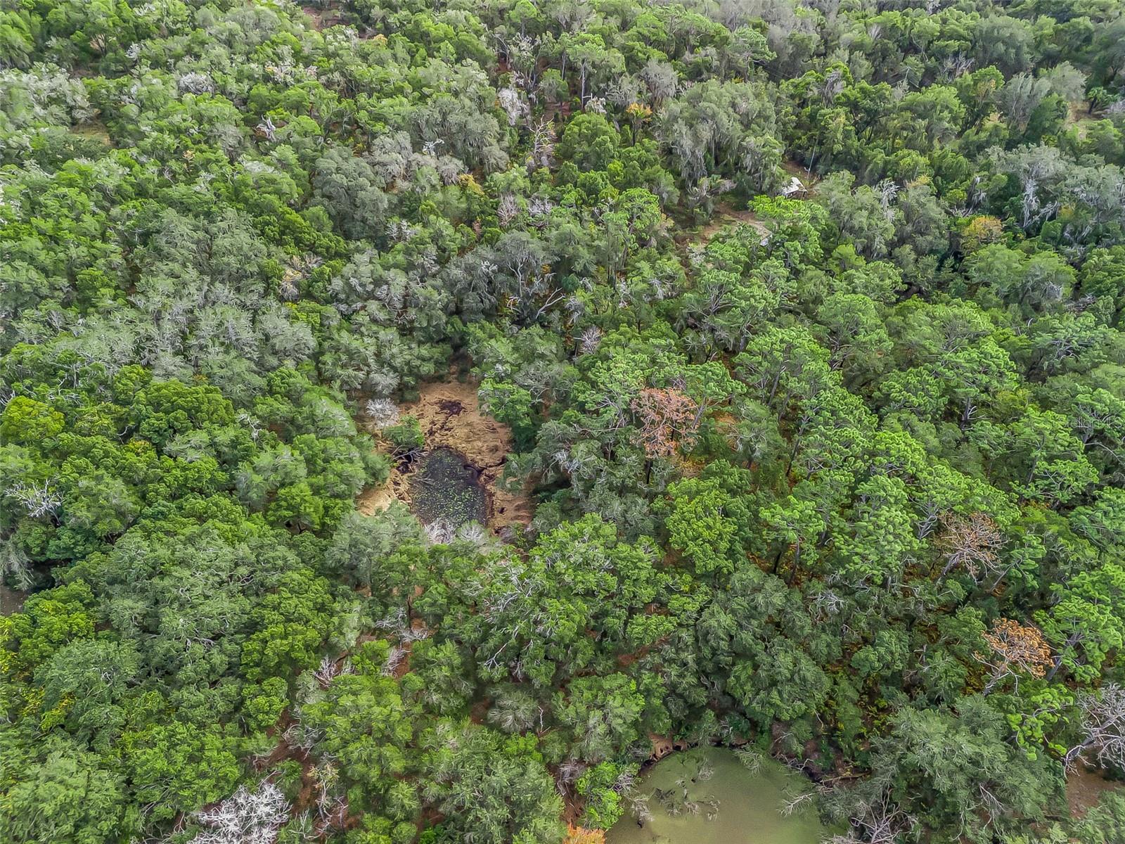 Image 10 of 16 For 33811 County Road 468