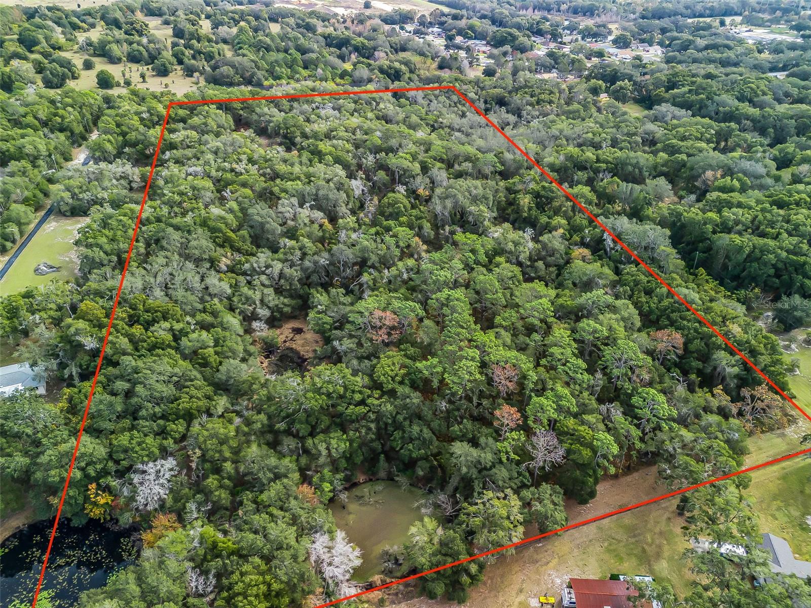 Image 12 of 16 For 33811 County Road 468