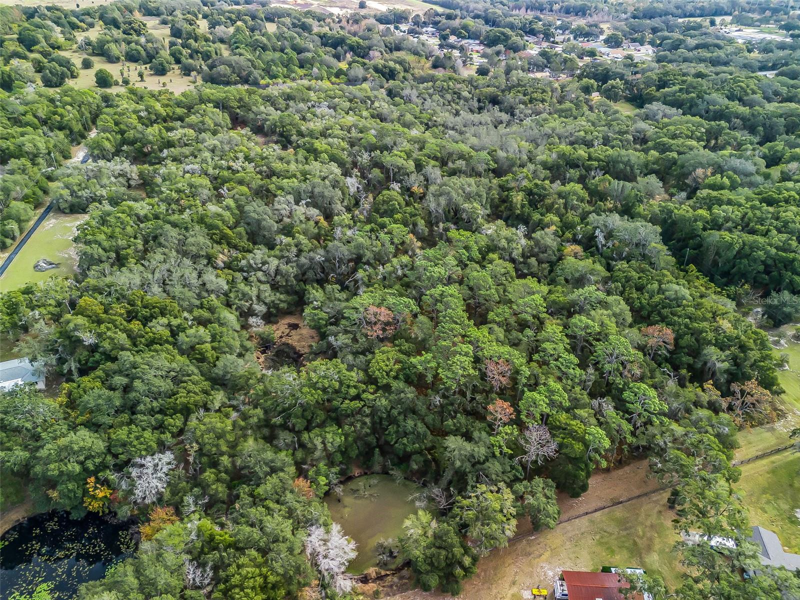 Image 4 of 16 For 33811 County Road 468