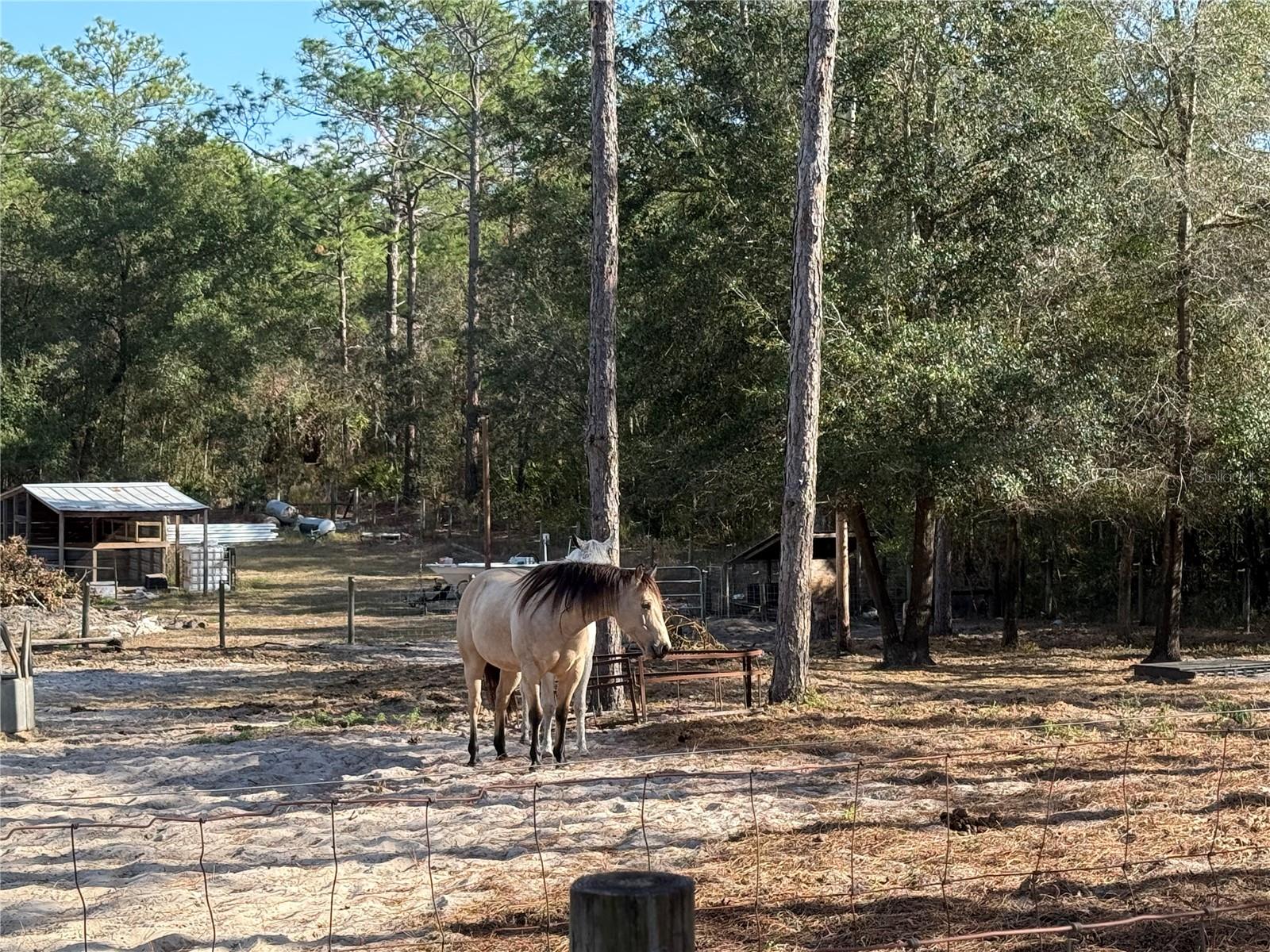 Image 30 of 32 For 6820 Mable Lane