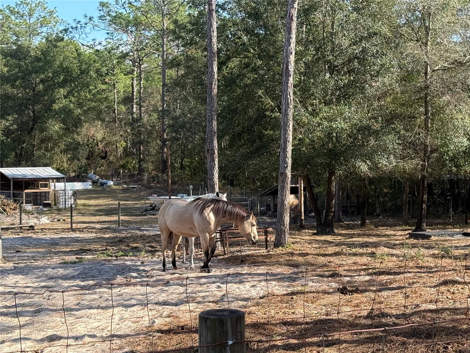 Image 31 of 32 For 6820 Mable Lane