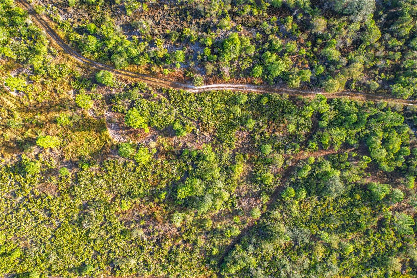 Image 14 of 19 For Lot 81 Meadow Lark Boulevard