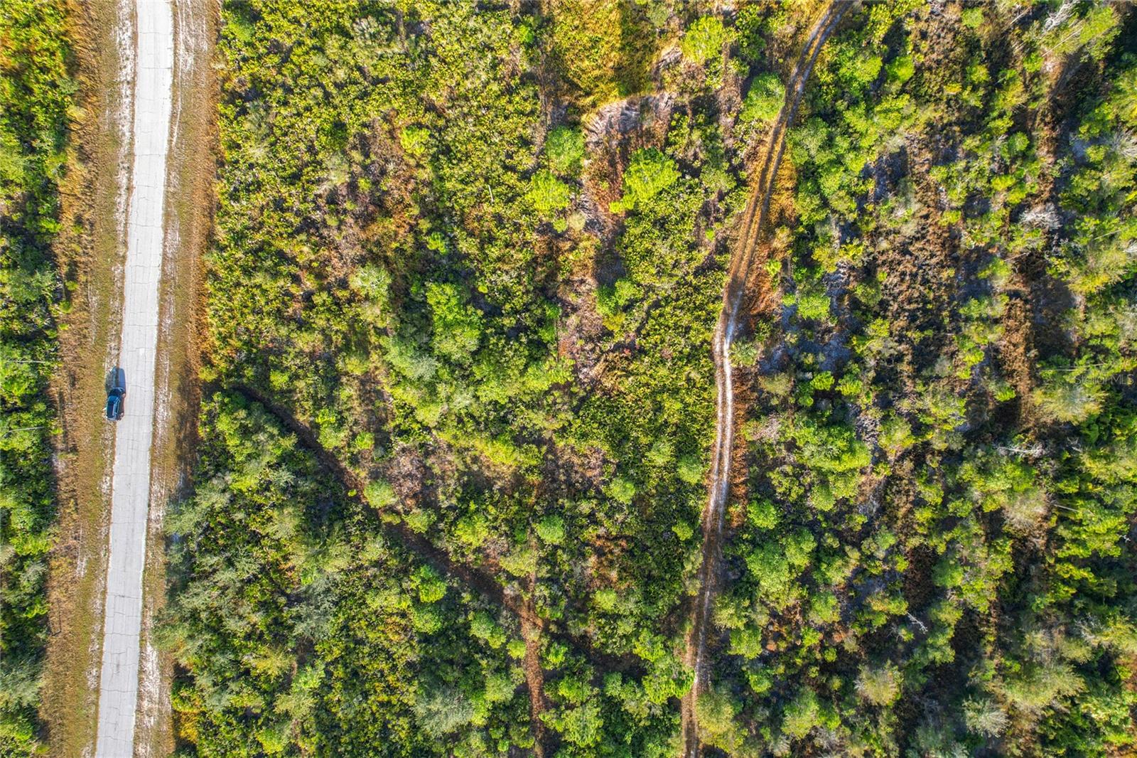 Image 15 of 19 For Lot 81 Meadow Lark Boulevard